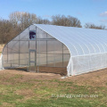 Greenhouses à une seule place avec système de culture hydroponique